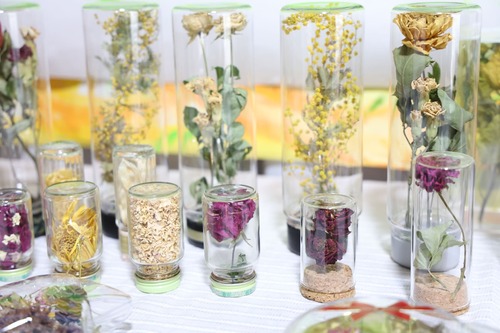 インフォメーション