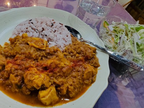 きまぐれスパイスカレー・パスタ1